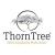 IT Service Specialist Online Trading (EE/AA)-ThornTree Group