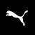TECHNICAL SALES SPECIALIST-PUMA Group
