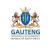 HANDYMAN-Provincial Government of Gauteng