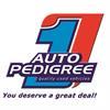Sales Representative | Auto Pedigree | Springs